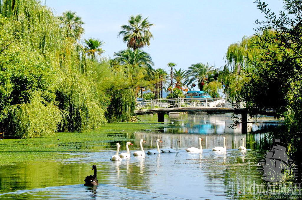  Монахи, основавшие Новоафонский монастырь, разбили парк в самом центре города. В 1880 году были вырыты 7 прудов