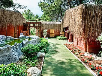 Nature Spa в лесной зоне
