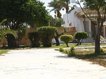 Отель DJERBA SUN CLUB 3*