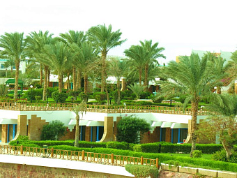  PYRAMISA HOTEL AND RESORT SHARM 5*