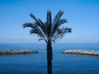 Отель SAVOY SACCHARUM HOTEL RESORT & SPA 5*