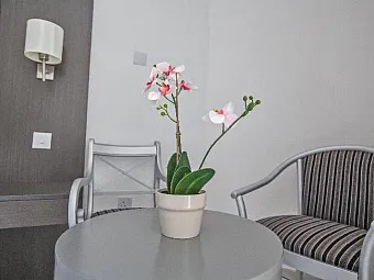  Отель NAPA TSOKKOS HOTEL 3*, Кипр, Айя-Напа.