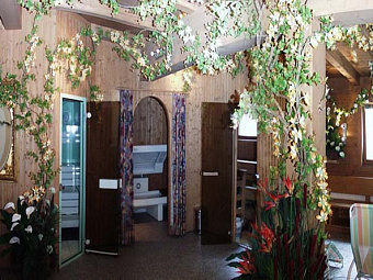 Отель PARKHOTEL SOELDEN 4*