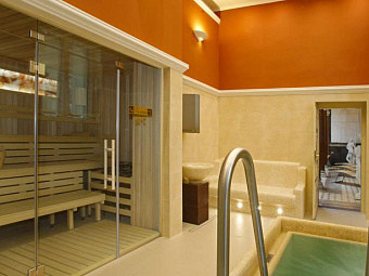  Отель DANUBIUS HEALTH SPA RESORT HVEZDA 4+*