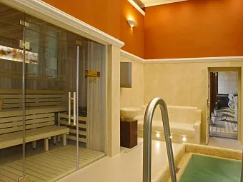  Отель DANUBIUS HEALTH SPA RESORT HVEZDA 4+*