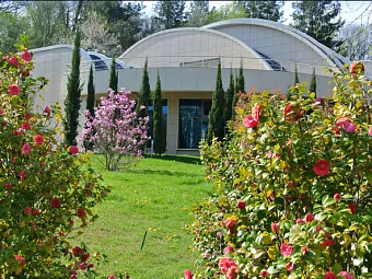  ДАГОМЫС, VIP КОРПУС МЕРКУРИЙ 5*