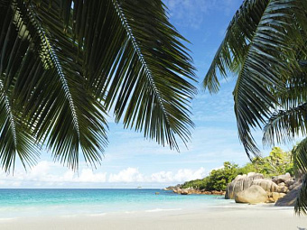 RAFFLES SEYCHELLES 5*