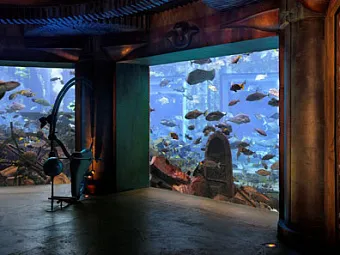 Океанариум. Отель ATLANTIS THE PALM 5*