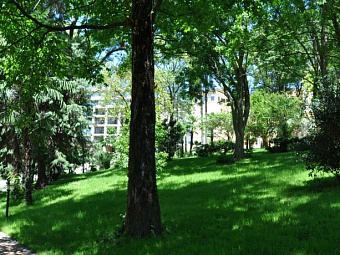 SWISSOTEL СОЧИ КАМЕЛИЯ 5*