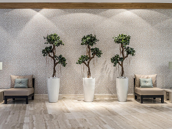 Отель SESIMBRA HOTEL&SPA 4*