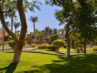 BEACH ALBATROS RESORT HURGHADA  4*