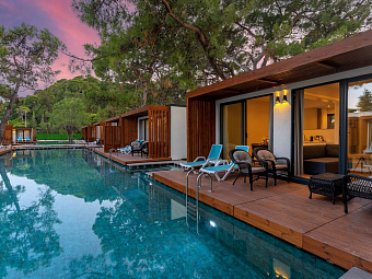 Swim up Suite