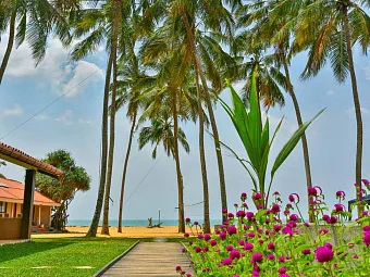 Отель AMAGI BEACH 2*, Шри-Ланка, Маравила