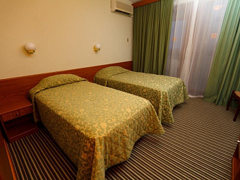 Пансионат ШЕКСНА 4*