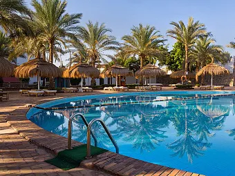 Бассейн в отеле BEACH ALBATROS RESORT SHARM EL SHEIKH 4*