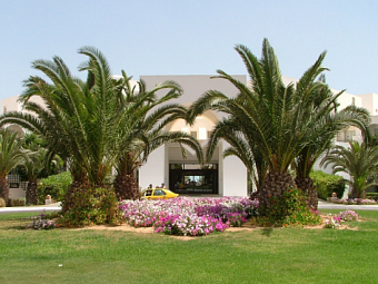 PALM AZUR 4* (ех RIU PALM AZUR)