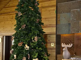 Отель SPORT HOTEL HERMITAGE 5*