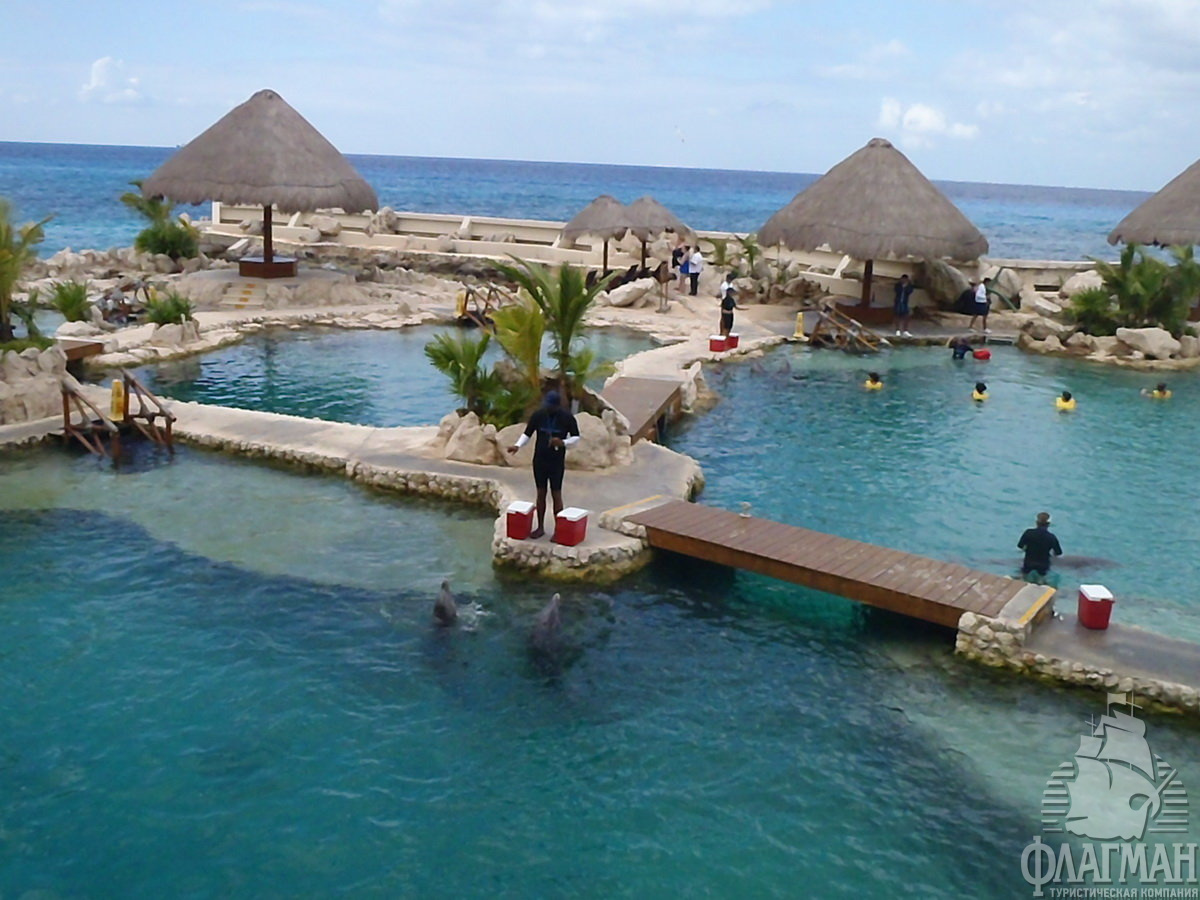 Cozumel - " "  