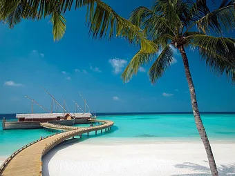  Ресторан отеля MILAIDHOO ISLAND MALDIVES 5*