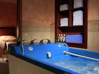  Отель SPA HOTEL BOHEMIA 4*