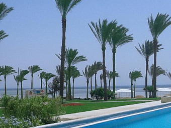   RIXOS SEAGATE SHARM 5*, , --.