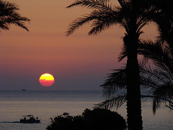 ARBATAX PARK – DUNE 4*