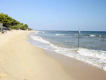 Отель ABAMAR 4*