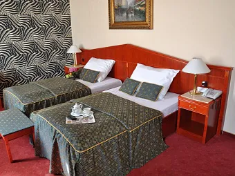 Отель CARLTON 4*