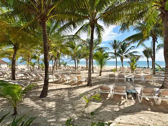 Отель CATALONIA PLAYA MAROMA 4*