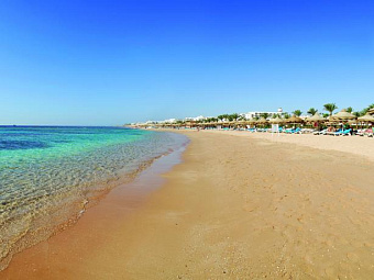   BARON RESORT SHARM EL SHEIKH 5*, , --.