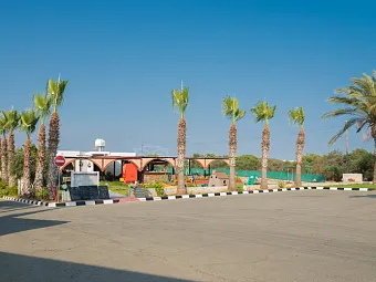  Отель TSOKKOS PARADISE VILLAGE, Кипр, Айя-Напа.