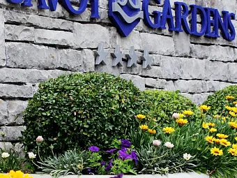 Отель SAVOY GARDENS 4*