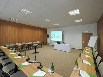Отель OLSANKA 3*