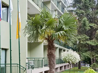  Отель PALM BEACH 4*, Болгария, Золотые пески.
