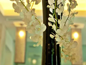 TURIM ALAMEDA HOTEL 4*