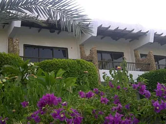  Отель TURQUOISE BEACH HOTEL 4*, Египет, Шарм-Эль-Шейх.