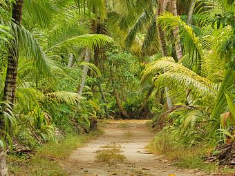  BIRD ISLAND LODGE 3*