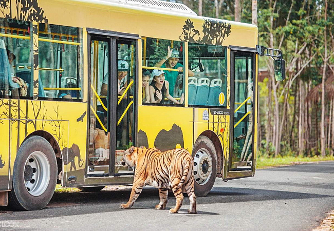 Здесь животные чувствуют себя хозяевами