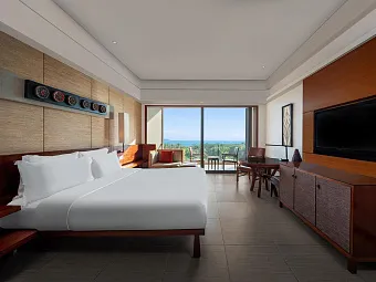 Deluxe ocean view room