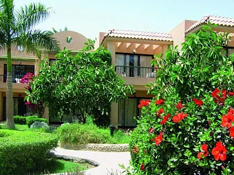 Отель ALI BABA PALACE 4*
