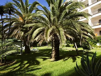 Территория отеля HILTON GIARDINI NAXOS 5*