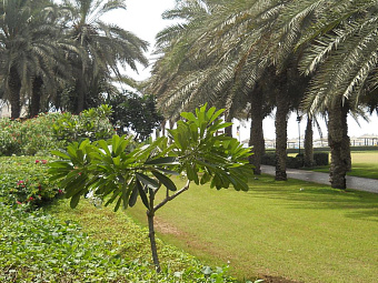 CORAL BEACH RESORT SHARJAH 4*