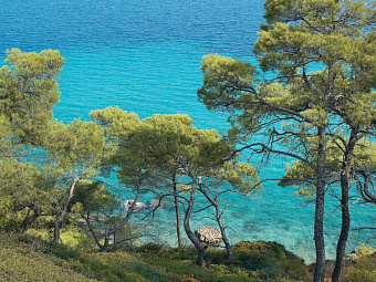 GRECOTEL PELLA BEACH4*