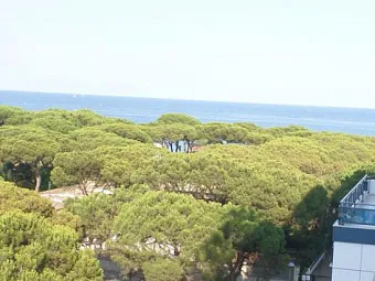 BLAUCEL 4*