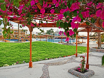   THE DESERT ROSE RESORT 5*