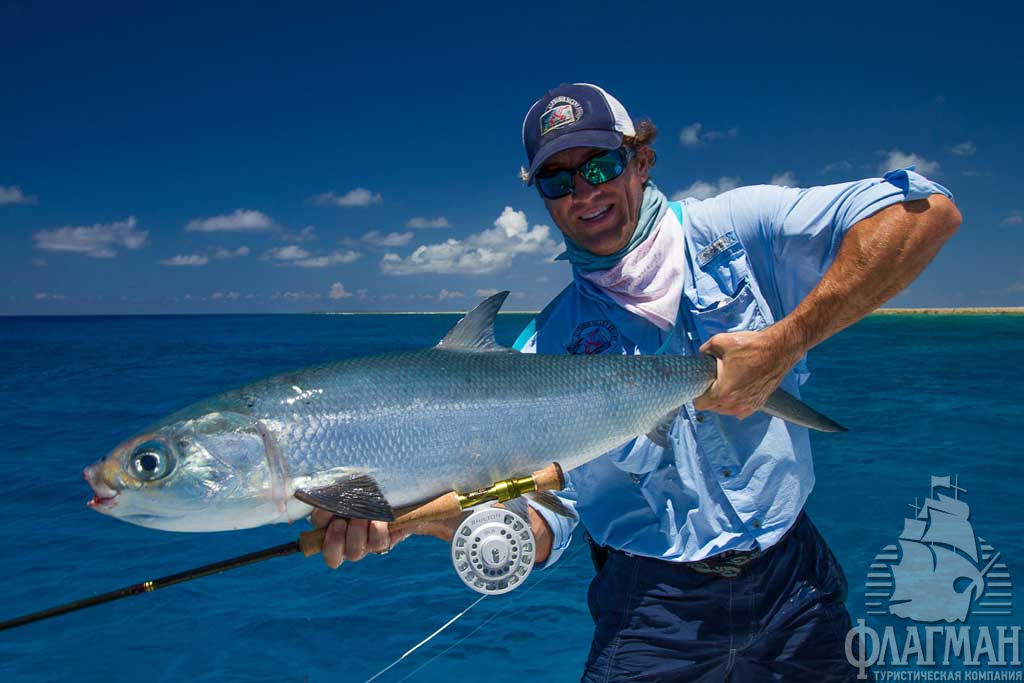  Рыбакам вблизи острова  Alphonse есть чем похвастать