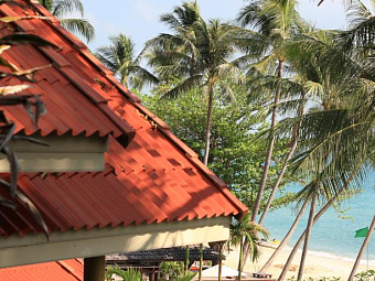 NEW STAR BEACH RESORT 4*