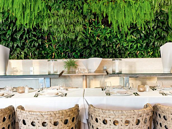 SANI BEACH HOTEL & SPA 5*