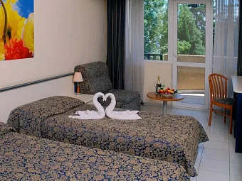 DOLPHIN 4*