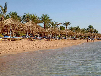 HILTON SHARM EL SHEIKH FAYROUZ RESORT 4*